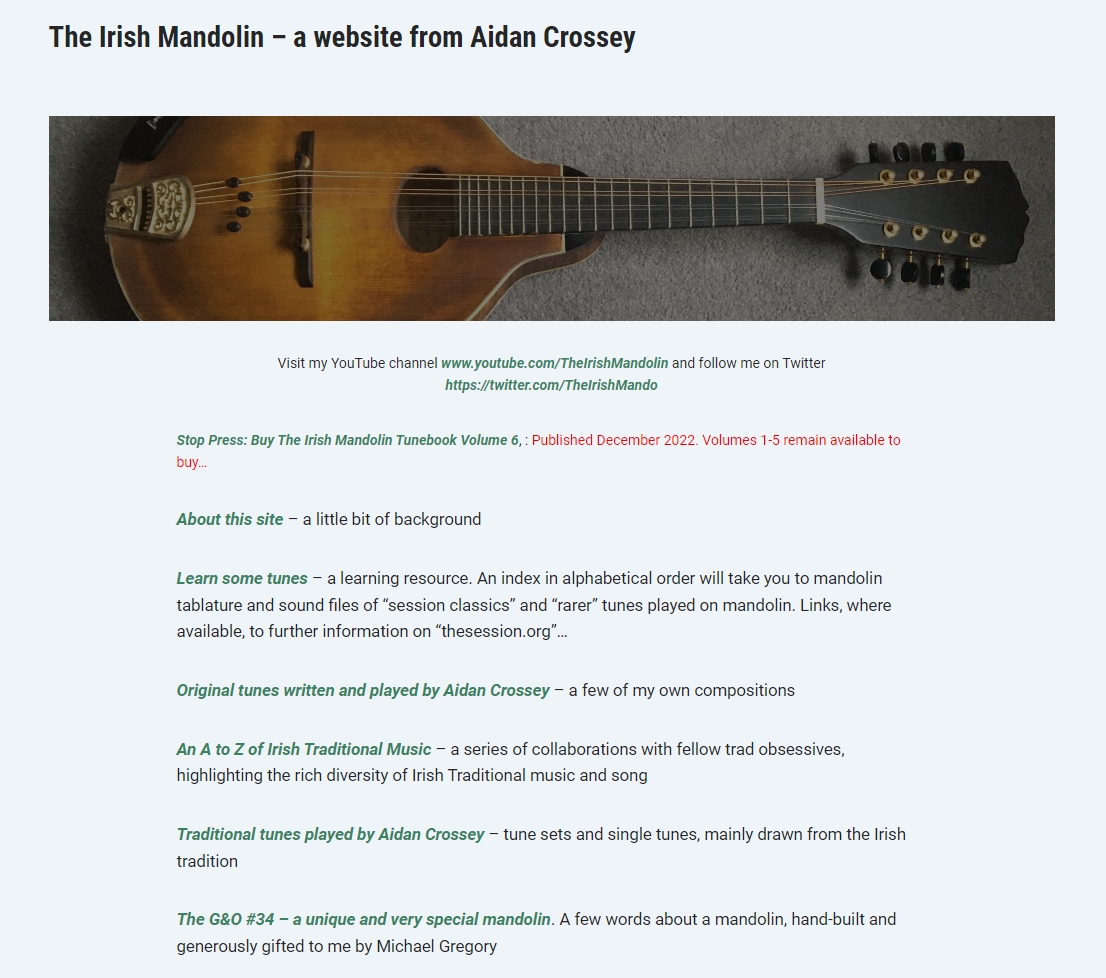 Aidan Crossey Mandoline Instrument des Jahres Mandolinenspieler des Tages