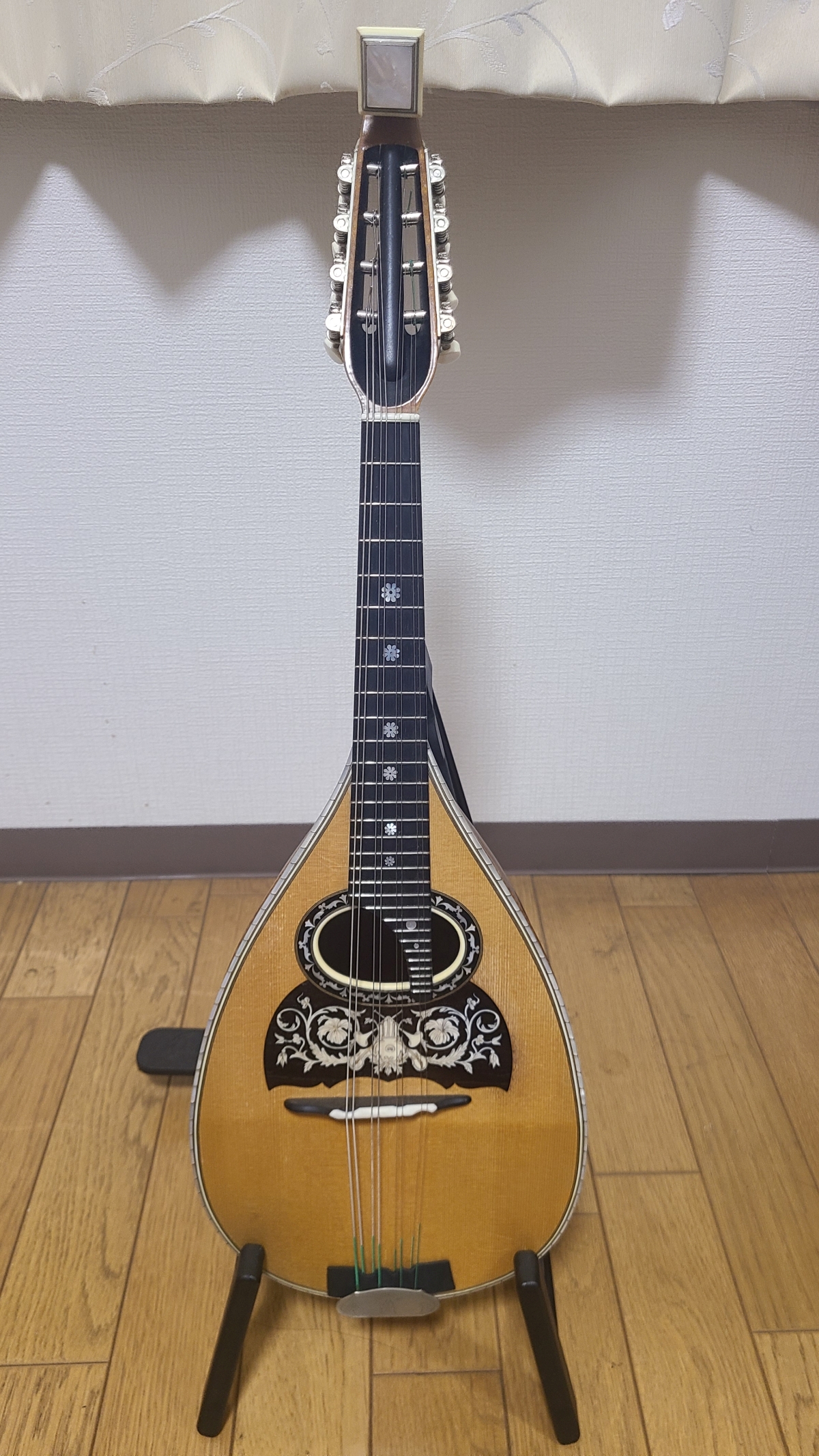 Chiaki Masukawa Instrument des Jahres Mandolinenspieler des Tages
