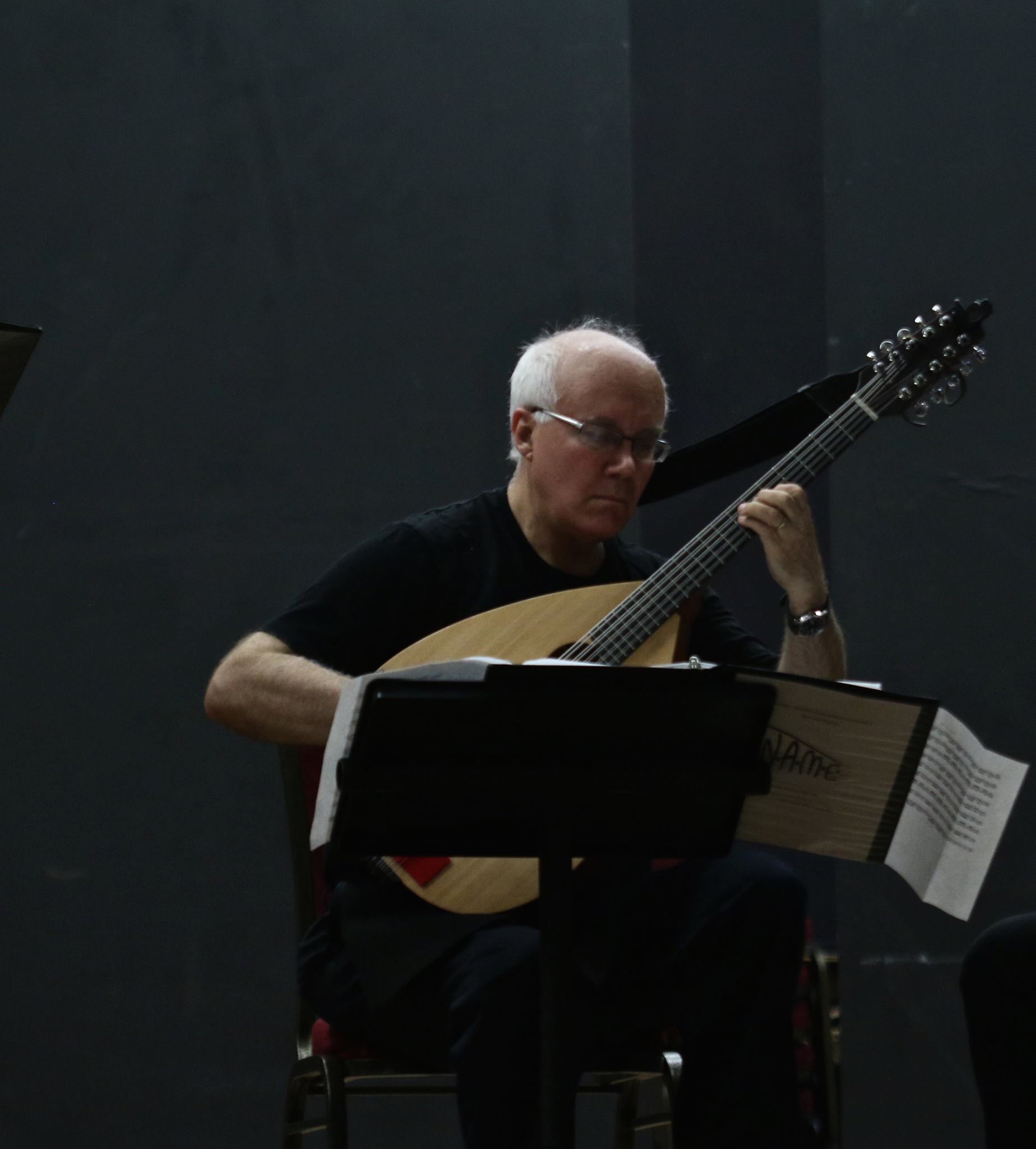 Robert Margo mit Mandoline Instrument des Jahres Mandolinenspieler des Tages Liuto cantablie