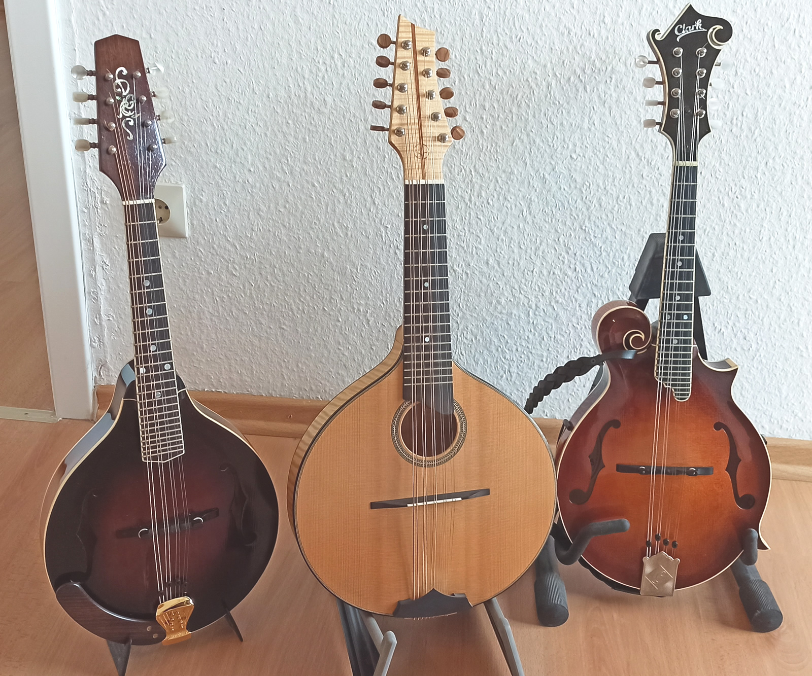 Christian Gasde  Mandoline Instrument des Jahres Mandolinenspieler des Tages