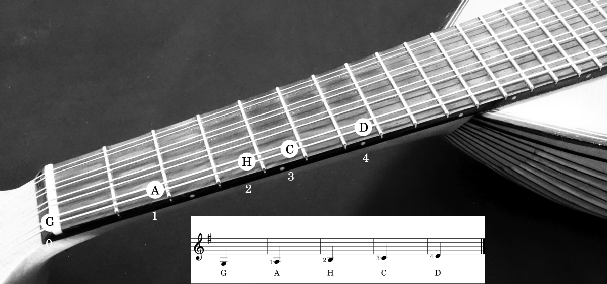 Töne auf der G-Saite Mandoline lernen G-Saite